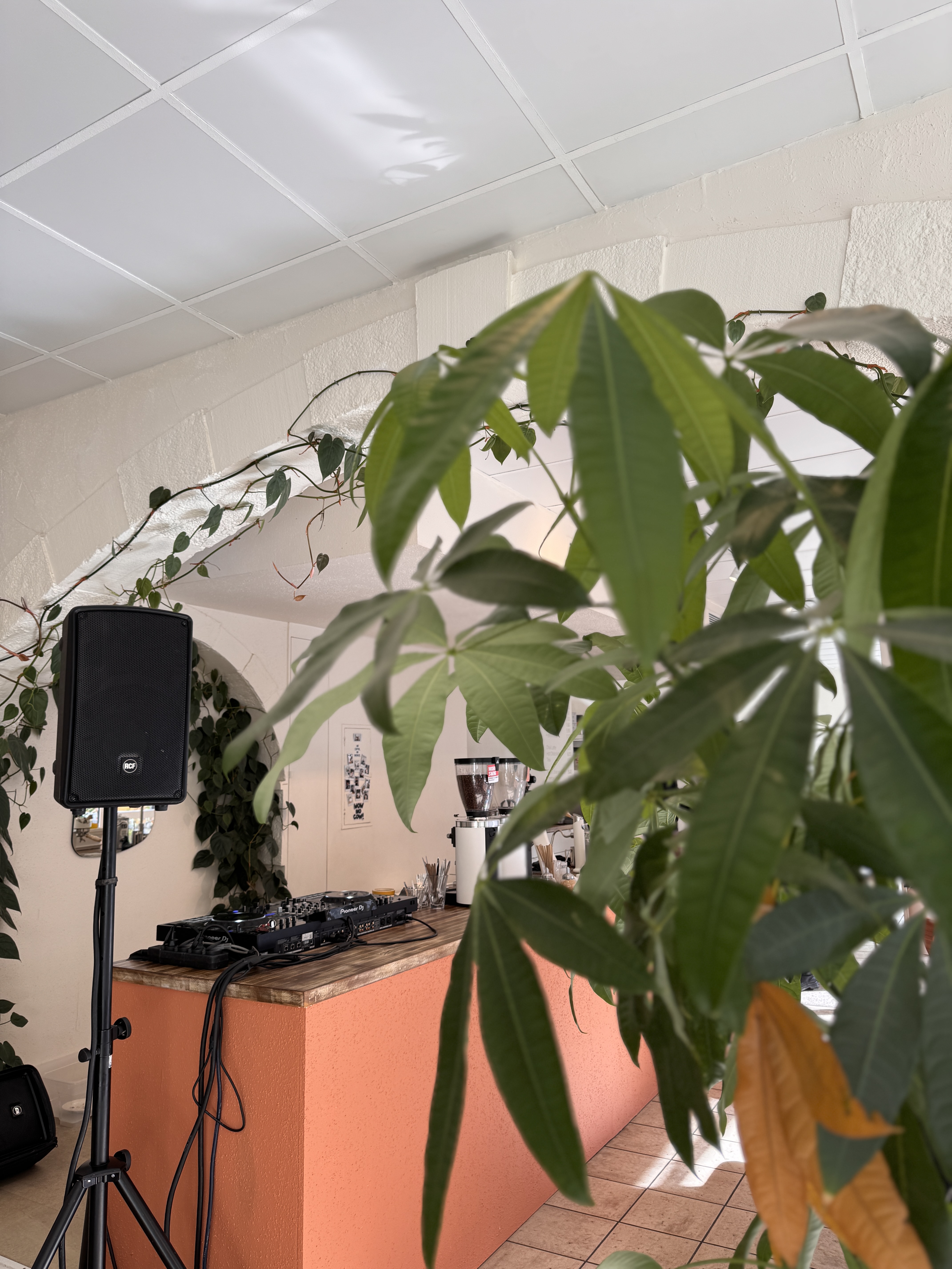 Plant and sound equipment inside the RBS workshop